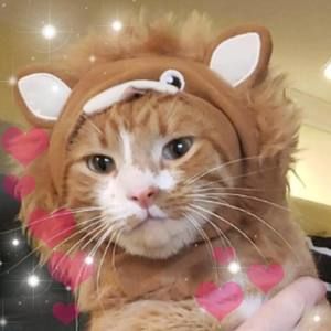 Meet your Posher, Elissa